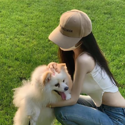 驯龙高手:归家